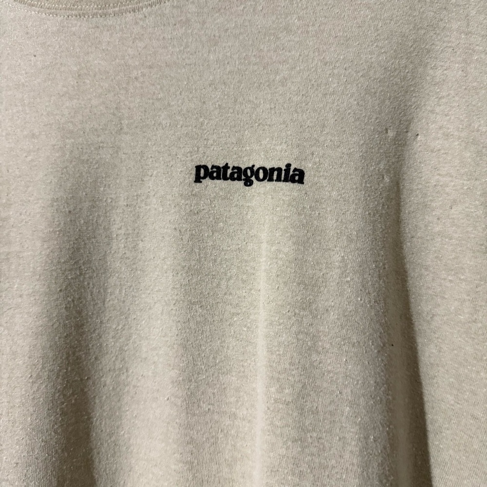Patagonia Men's Sage Green Short Sleeve Tee - Picture 2 of 7